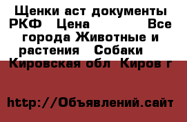Щенки аст документы РКФ › Цена ­ 15 000 - Все города Животные и растения » Собаки   . Кировская обл.,Киров г.